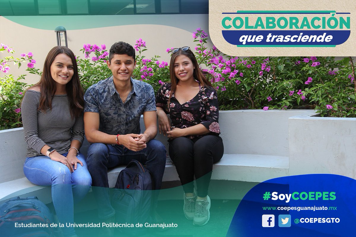 COEPES Guanajuato tweet media