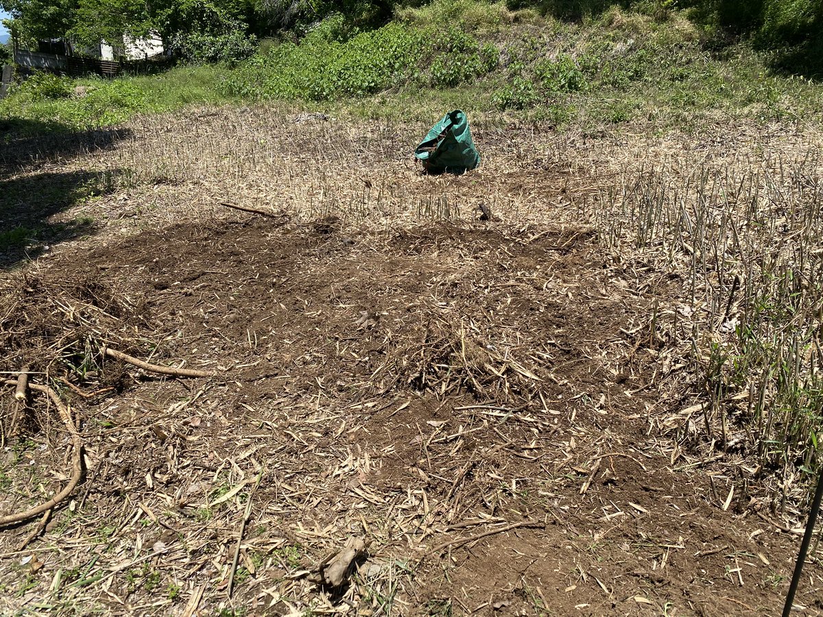 藤野駅前の畑
今日は笹の根の抜根作業。
会社の仲間も来てくれてます。
気の遠くなる作業ですw