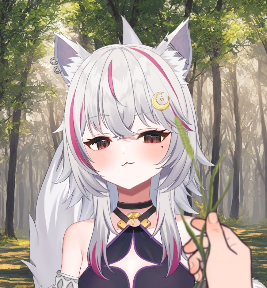 hati_magami's tweet photo. おはってぃ～～～～！！

ン……？

おいオイ😄

��シ狼ぞ？

……………

………………………………

#新人Vtuber #個人Vtuber #おはようVtuber https://t.co/qNQKVm2qHr