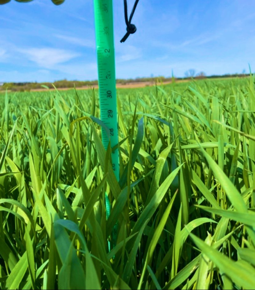 Crystal Geer tweet media