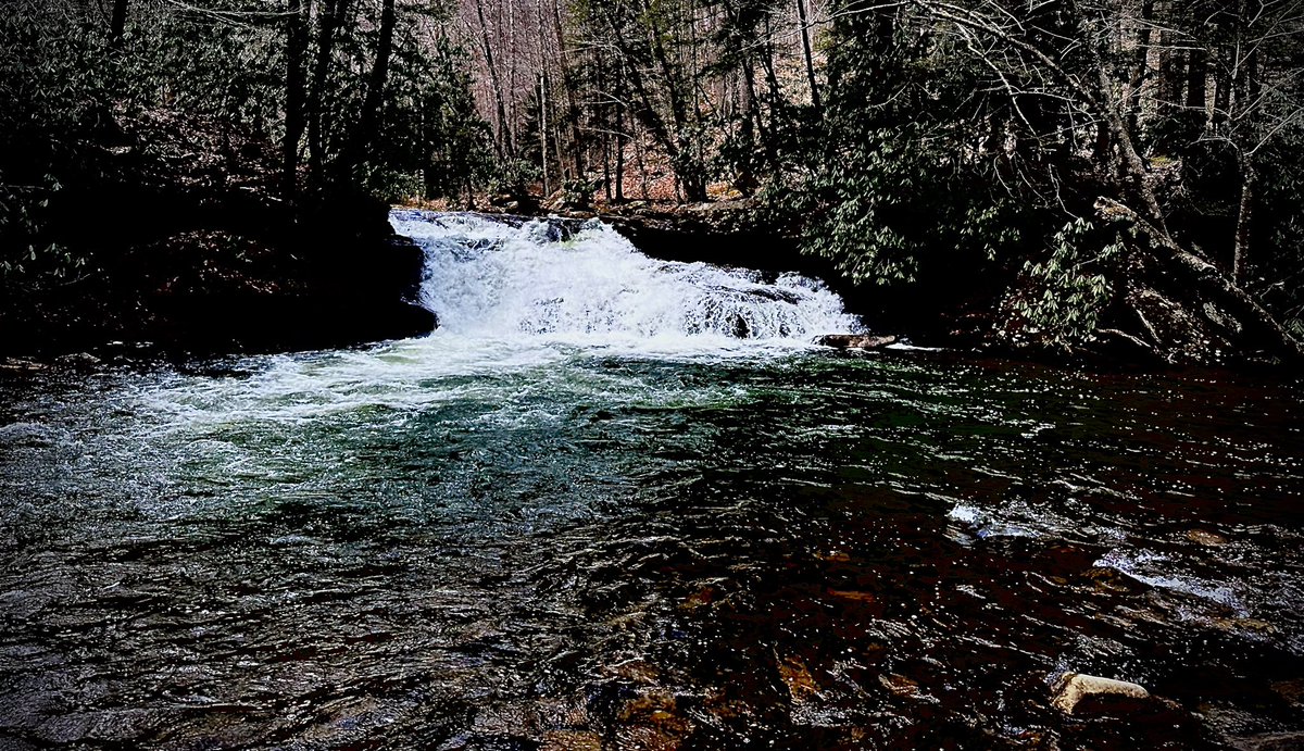 Life in Color (@licgenesis_) on Twitter photo 