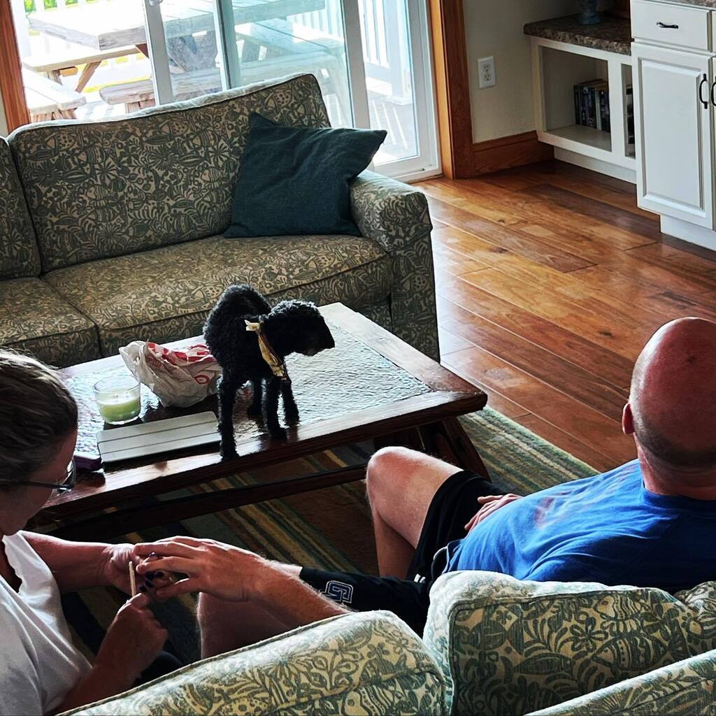 patcain's tweet photo. Sometimes you just need to be pampered! https://t.co/M2tJ7C3h7h https://t.co/HetBU3N1c4
