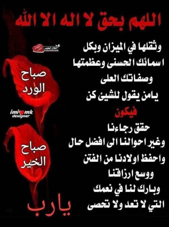 aminalsab3's tweet photo. اللهم آمين https://t.co/6UZYypy4kf