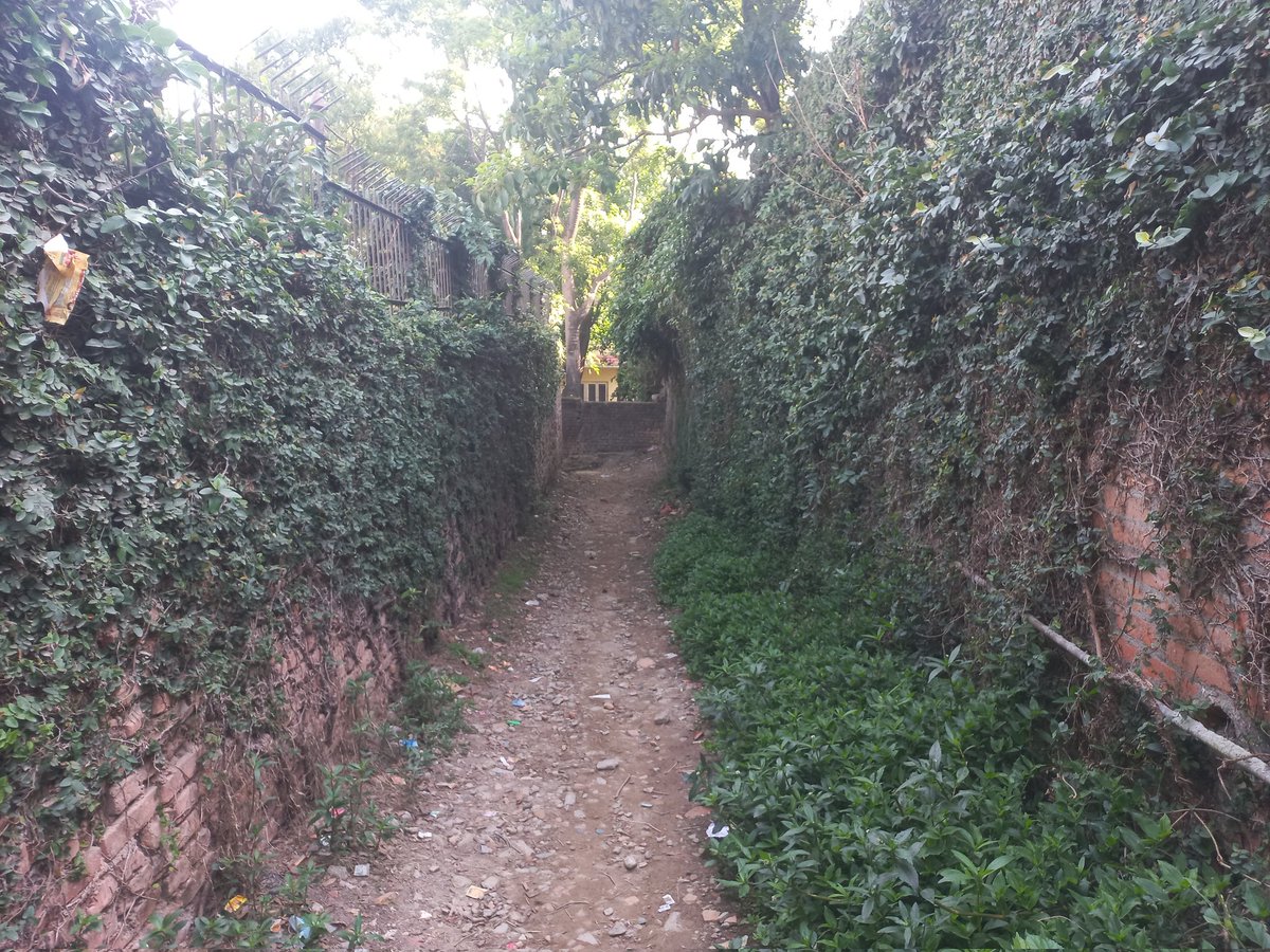 AnupOjha7's tweet photo. Exploring greenary on the wall! 🙃

We only have one option to flourish greenery in this concrete city: to promote greenery on walls through individual initiatives.
#greenaryonthewall #concretecity #exploringself #moringwalk #bushonthwall https://t.co/5igvA3SOn7