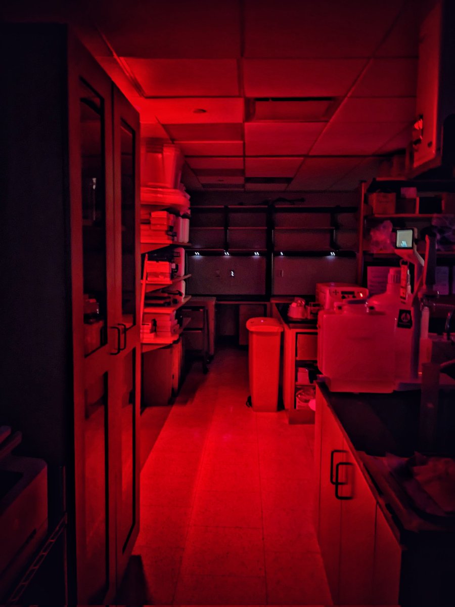 Leucht lab by night. So atmospheric ☠️ #allofthelights #newyorker 🗽🌃 @PhilippLeuchtMD @kleclerc13 @lindseyremark @MargauxSambon #orthotwitter @nyugrossman @nyulangoneortho
