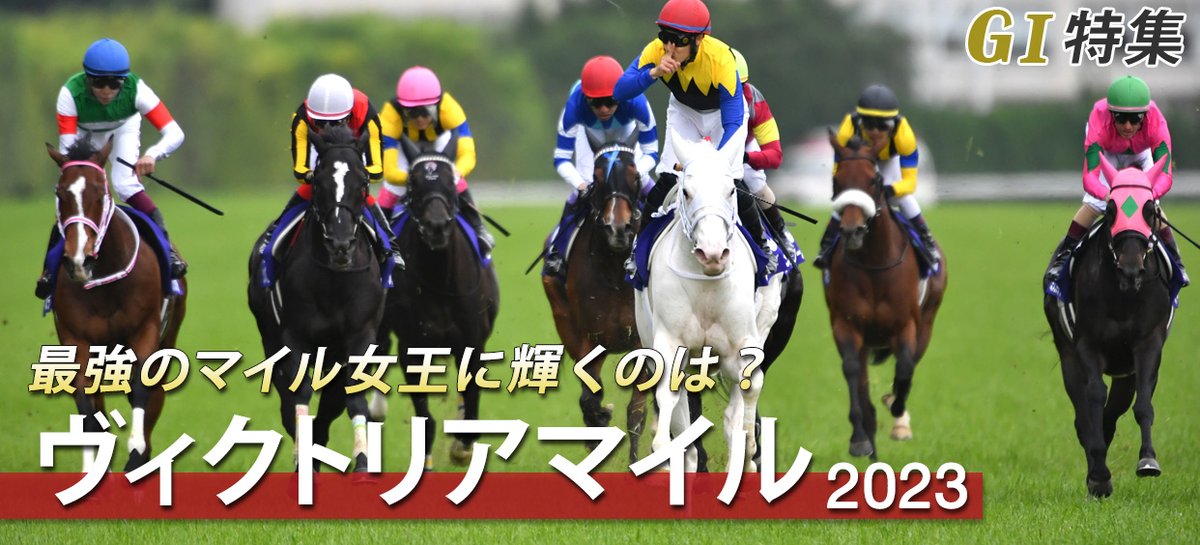 割引 abacus-rh.com 競馬 G1 競馬 セリフォス コート G1 - www