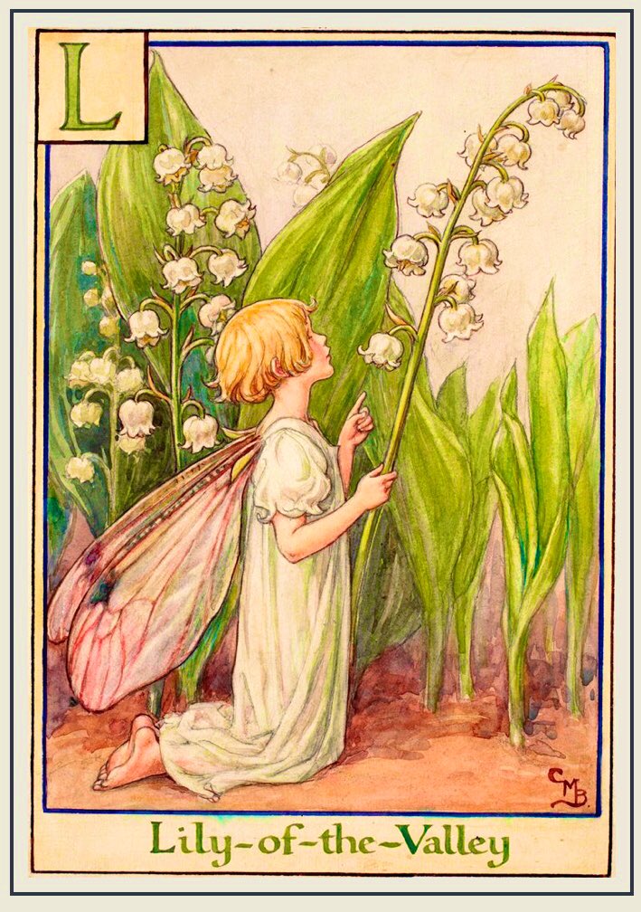 Lily-of-the-Valley is one of the birth flowers of May, along with the hawthorn. It is not actually a lily, but belongs to the asparagus family. A symbol of purity, joy &amp; love, it is said fairies drink from its cups &amp; it protects gardens from evil spirits. #LegendaryWednesday