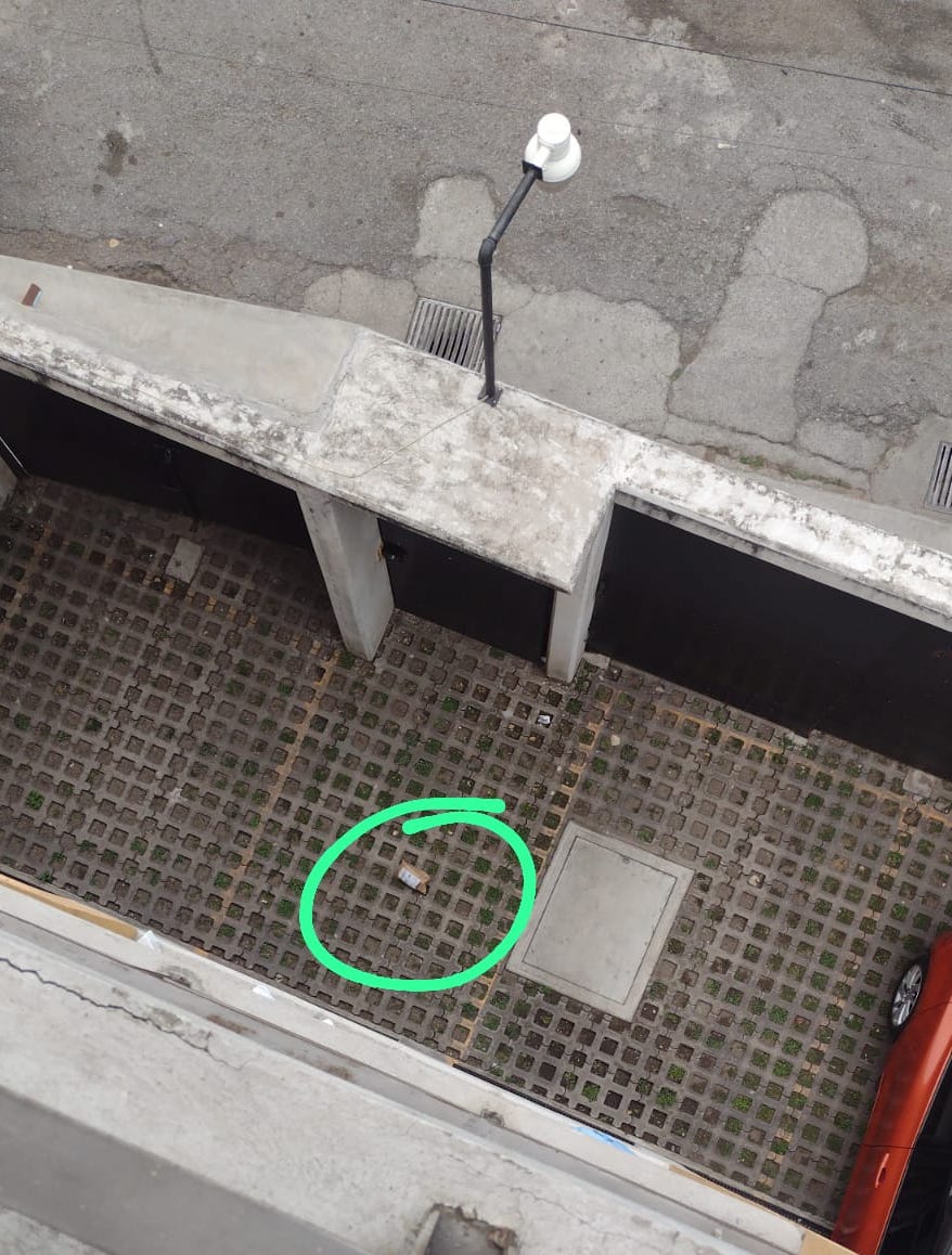 Belem R. tweet media