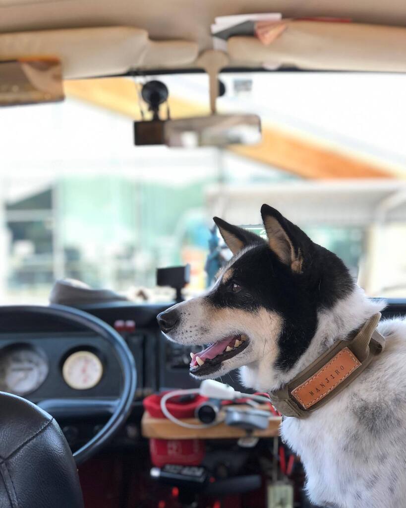 manjirokagu's tweet photo. 🚌ROAD TRIP with manjiro🐕🚌
益子陶器市の余韻を引きずりつつ、
僕🐵とまんぢろう🐕は
…少しだけ旅にでます。。
ON THE ROAD
道中ストーリーズにUP出来るといいなぁ…
#vanlife
#vwtype2
#vwbaywindow
#gotowest
#vwbus1970
#ワーゲンバス
#ontheroad https://t.co/134zADT8lJ https://t.co/M1S7J5YMo0