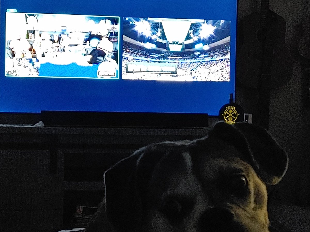 NoDakColey's tweet image. DNVR split screen with the Nuggets light lit♥️ Kota 🐶 likes the ambiance🔥 LFG!! #DNVR #Nuggets
