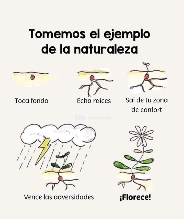 Tomemos de ejemplo a la naturaleza 🌱🌿
