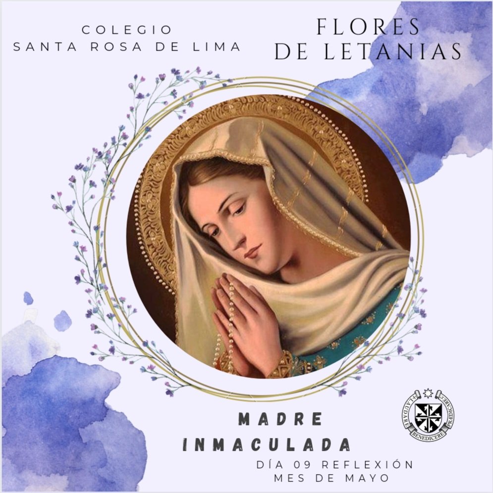 DÍA 09 FLORES DE LETANÍAS 
MADRE INMACULADA Recordemos esta hermosa frase con mucha devoción y tengamos en cuenta que ella nos invita a la purificación para que Jesús resida en nosotros #mesdemaria <a href="/avec_sc/">A.V.E.C.</a> <a href="/Crazet2011/">Crazet2011</a> @MPPEDUCACION