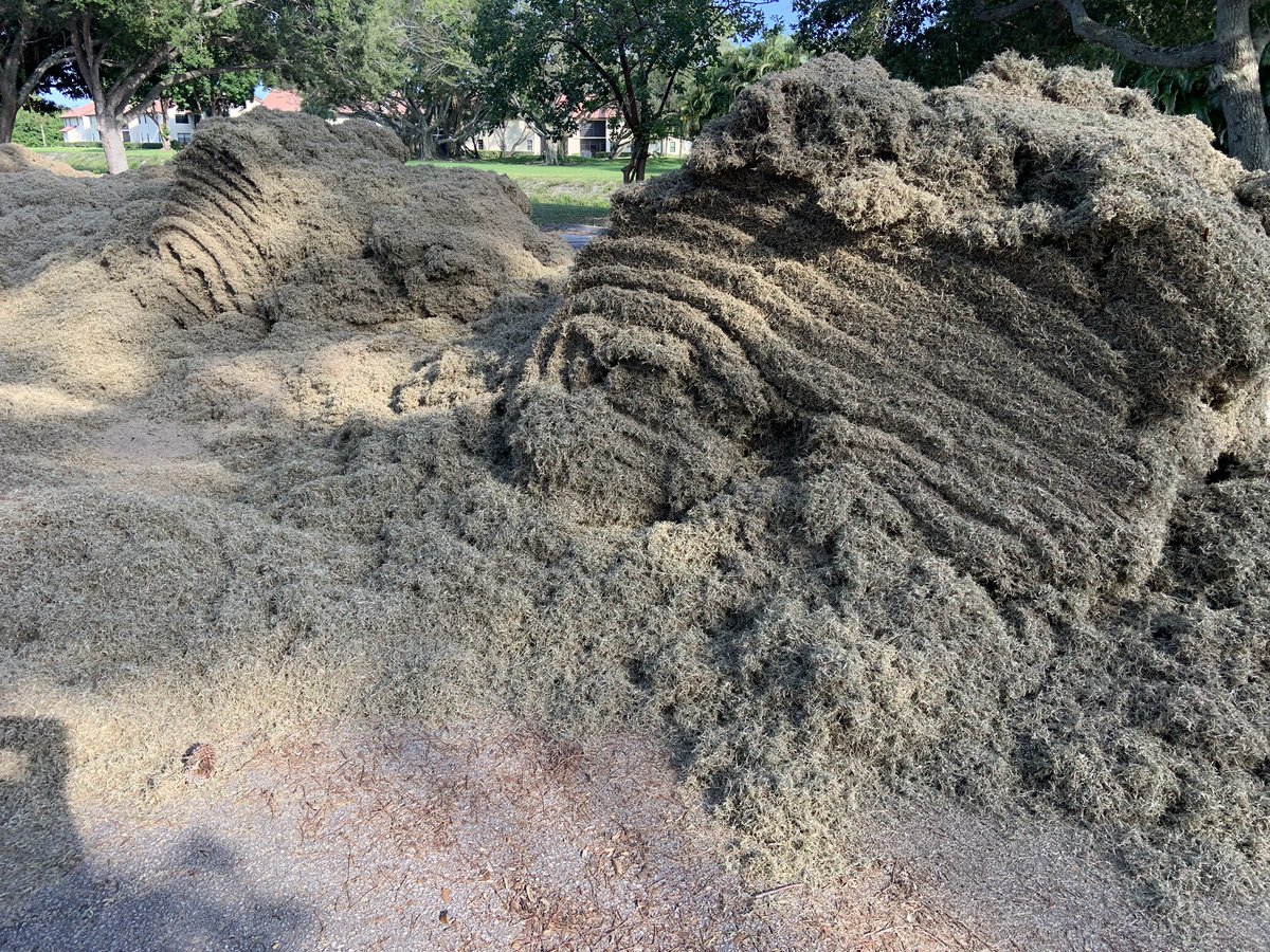 Southern Turfgrass Services tweet media