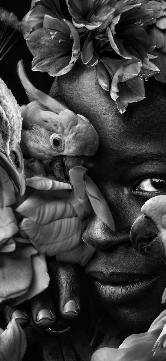 Marcel van Luit tweet media