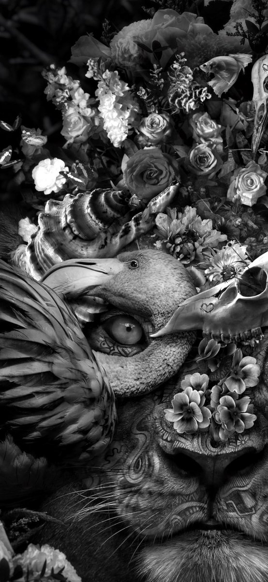 Marcel van Luit tweet media