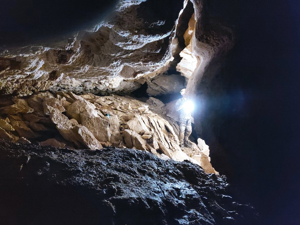 Adam Hartland 🔋⚡️ tweet media