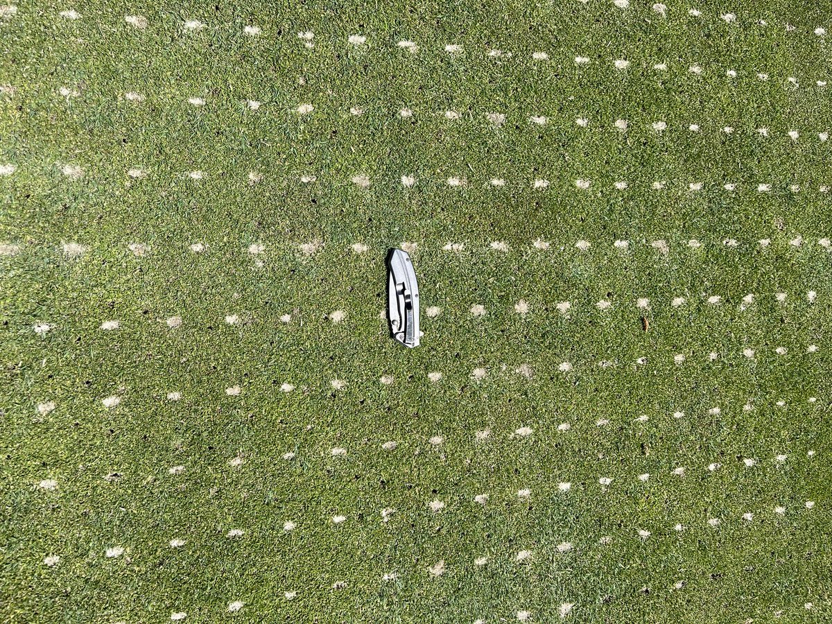 DryJectSW's tweet photo. CLEAN @DryJect 3x2” with straight #20 sand over 1/4” cores at Temecula Creek Inn, Oaks… couple tons of sand injected into the beautiful new Meadows wedding lawn too! #PlayabilityMatters https://t.co/Xkwudy75BS