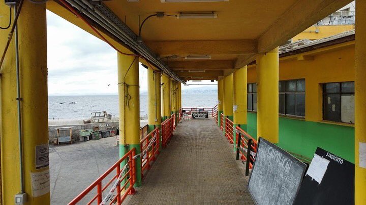 MOPValparaiso's tweet photo. #OBRASMOP
Avanzamos con obras de conservación en Caleta #ELMEMBRILLO.
MOP, a través de la Dirección obras Portuarias, está mejorando la calidad de vida y de trabajo de los pescadores de esta tradicional caleta de Valparaíso, con una inversión de más de $800 millones. https://t.co/MlhnD4MQ3y