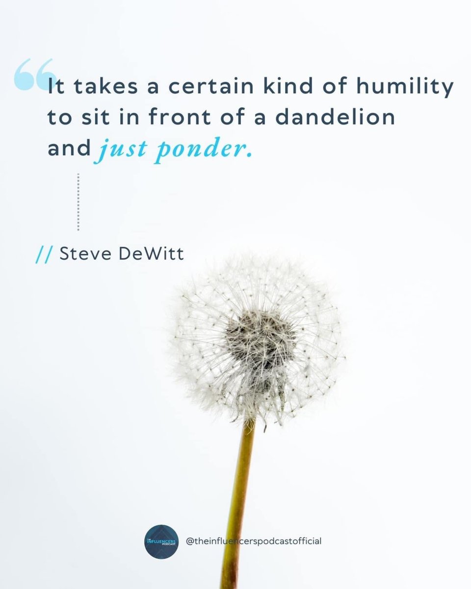 elevaregroup's tweet photo. Steve Dewitt believes as image bearers of Christ, we are created to respond to beauty, and as Christians, we are called to take that response and turn it into worship and thankfulness. ⁠Listen to the episode of The Influencers Podcast NOW https://t.co/uzb4CWRMYY https://t.co/MDi6zJfOtT
