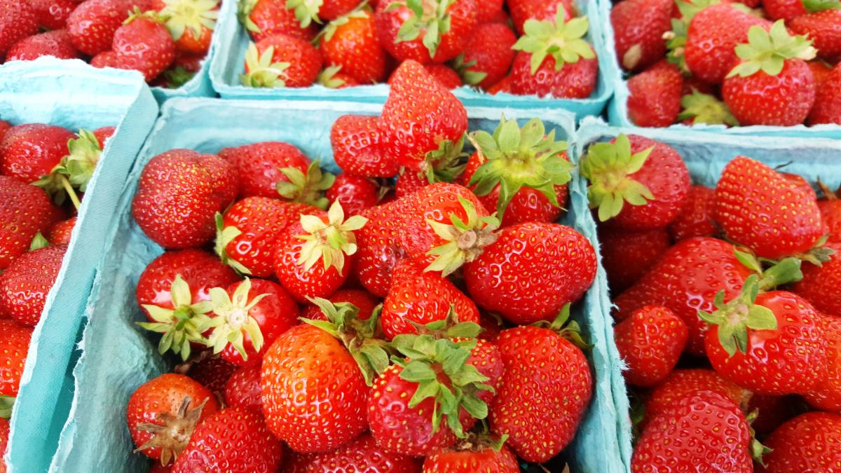 Milk Lady Markets tweet media