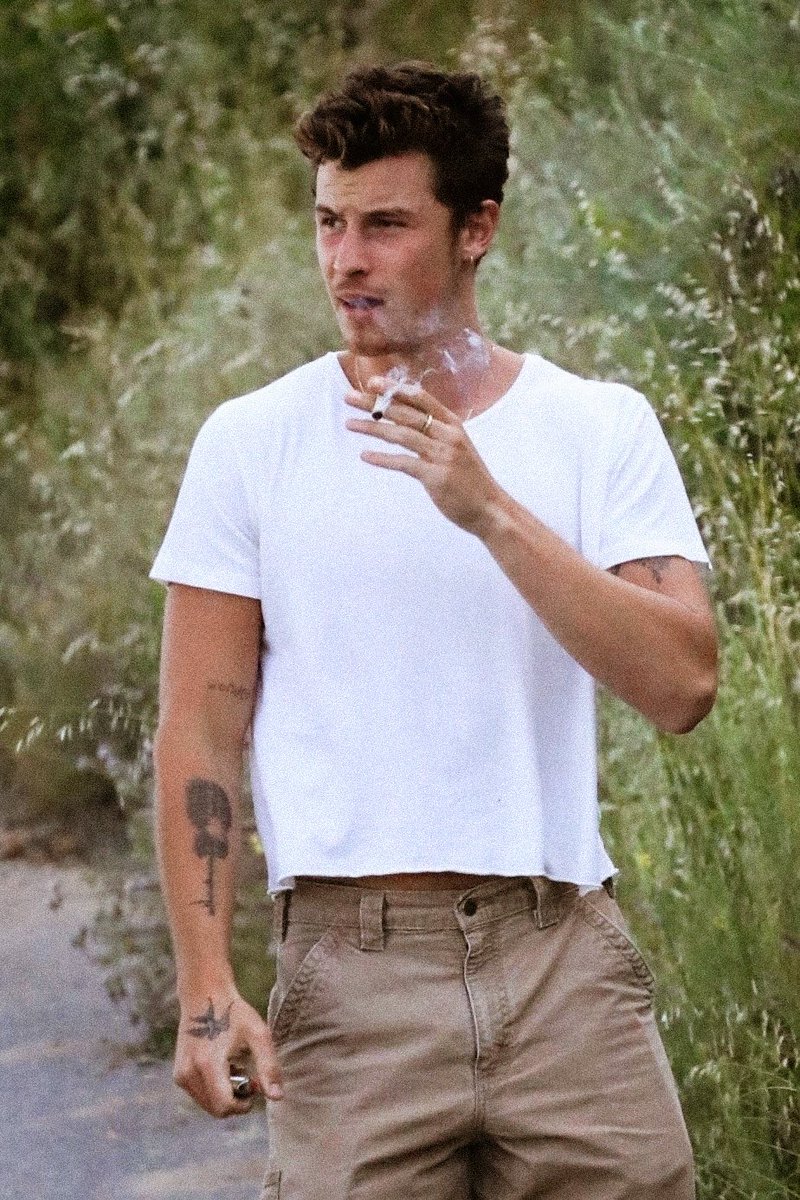 shawposts's tweet image. shawn mendes.