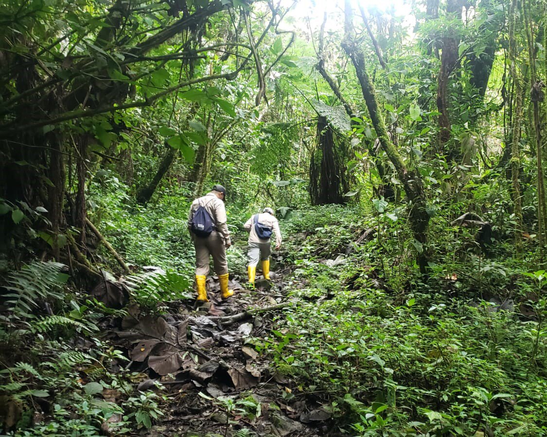 GESPAF_Ecuador's tweet photo. #SomosPRAS | Un equipo interdisciplinario del PRAS, visitó las provincias de #Loja y #ZamoraChinchipe, para realizar un muestreo superficial de agua y suelo en zonas de estudio priorizadas por la presencia de alteraciones ambientales, producto de actividades mineras ilegales. https://t.co/z3kGDLNFVv