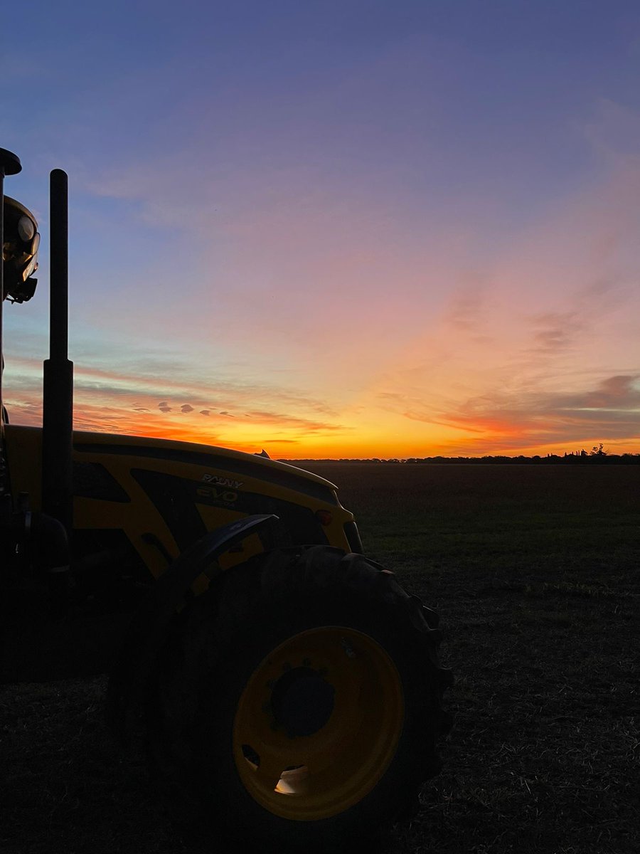 🌅🌅 #campo #campoargentino