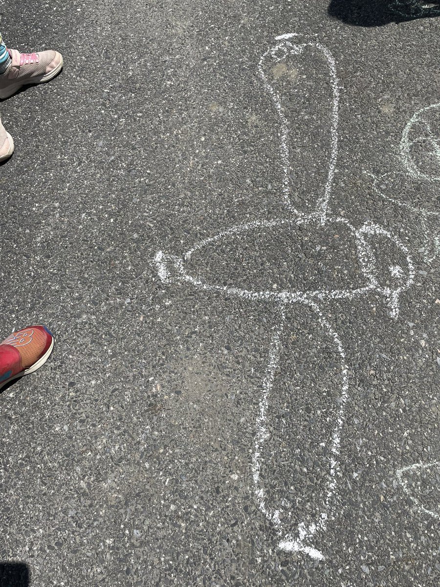 SusanKochVT's tweet image. Measuring Vermont bird wingspans ! #firstgrademagic #mrpsvt #ThisisUES @BirdDiva @AmyKochy @BareaKatie