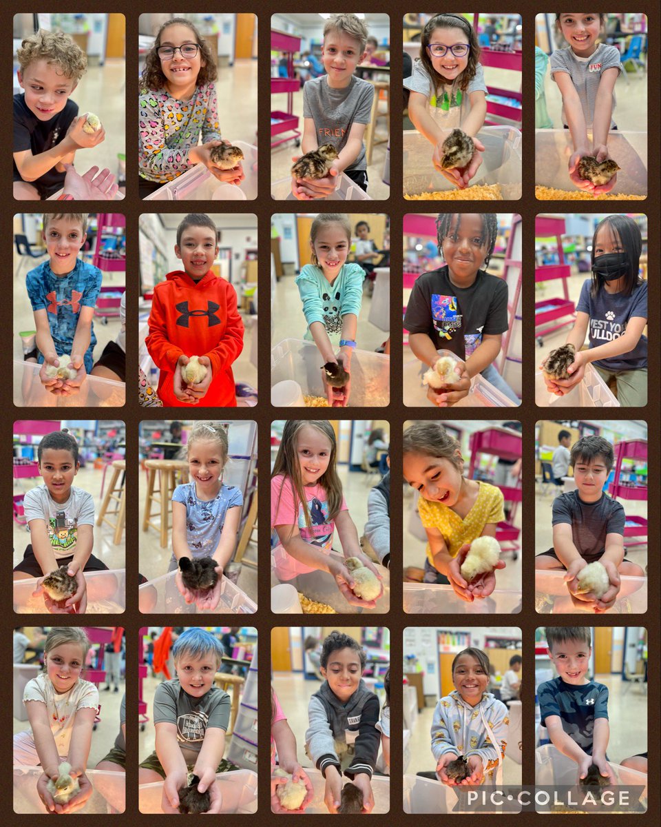 Talking turkey in second grade! #wyasd #wyproud