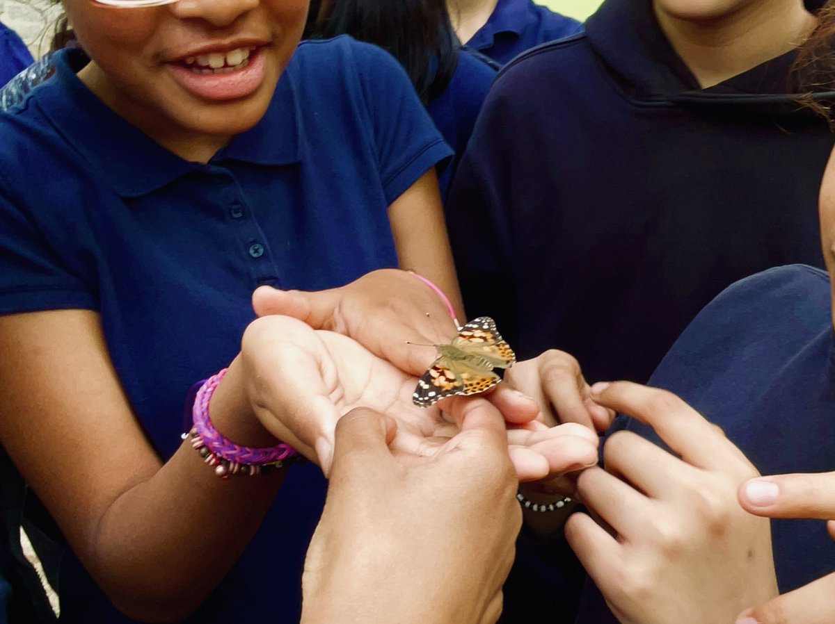 MsRuthy315's tweet photo. Working on our #CommunityScience project with @CatrockVentures 🌱 Students are not only enjoying #OutdoorLearning but also familiarizing themselves with gardening techniques, skills for park restoration, and beautifying our school community! 🌼🦋@PS315LabSchool @CSD10Bronx https://t.co/bgPq9lgw90
