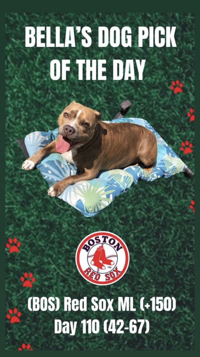 TheLocksOTD's tweet photo. 🐶BELLA'S DOG LOCK OTD🐶
‼️OVERALL UNITS +1145‼️
🔥BELLA IS HOT🔥
⚾️(BOS) Red Sox ML (+150)
#MLB #MLBPicks #Baseball #RedSox #Boston #Moneyline #Dog #Dogs #DogPicks #DogPic #DogPick #Betting #GamblingTwitter #Gambling #DogBets #DogBet https://t.co/ch13Mb8NAQ