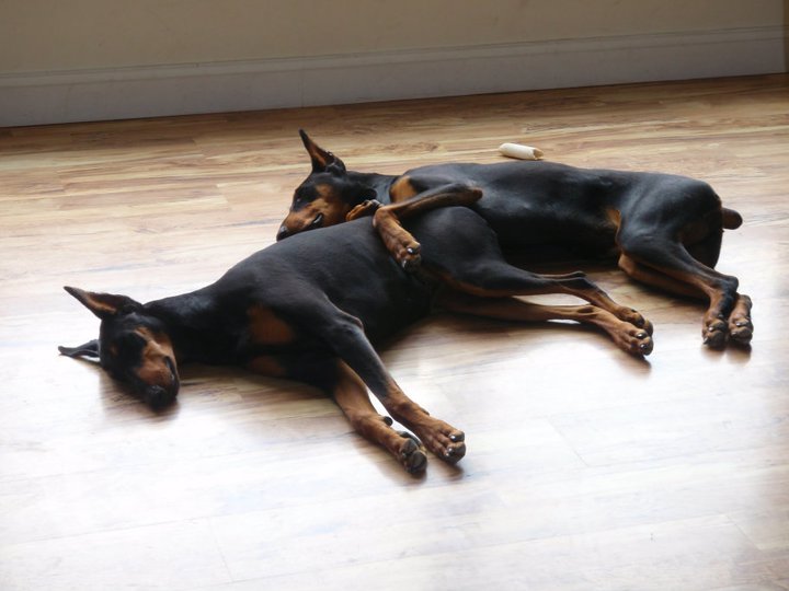 TangoOscarMike-N3WS tweet media