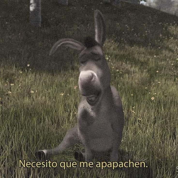 jmbbie's tweet photo. Mood: https://t.co/a2jrKwwmh7