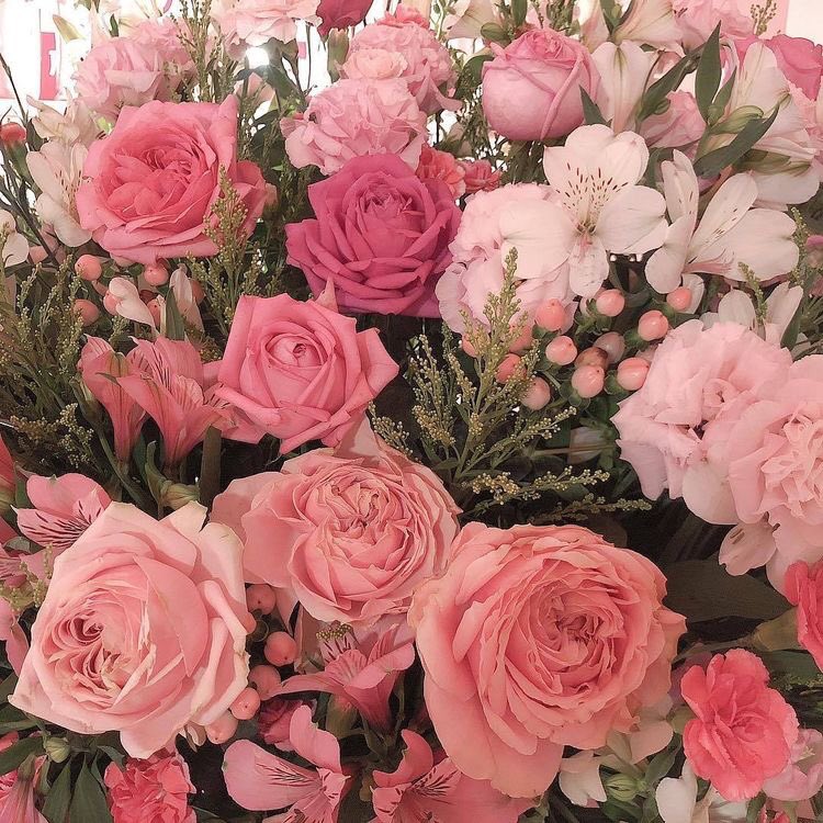 _numilun_'s tweet photo. *ੈ✩‧₊˚ https://t.co/6zzR45EMff