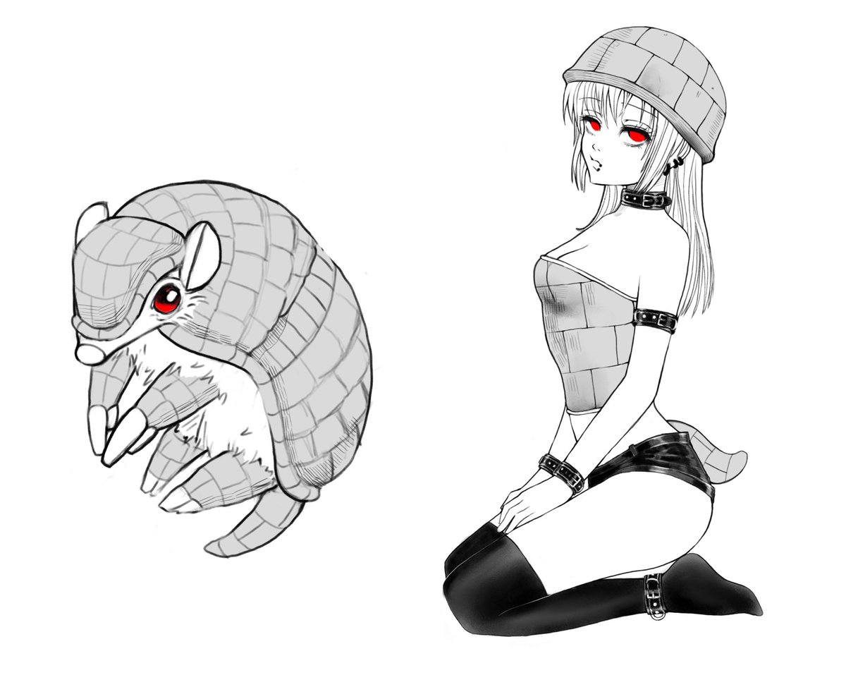Armadillo