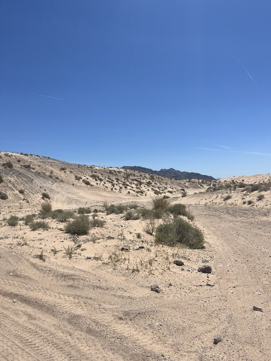 madisynvhl's tweet photo. 🏜️ https://t.co/UAtLJb0naJ