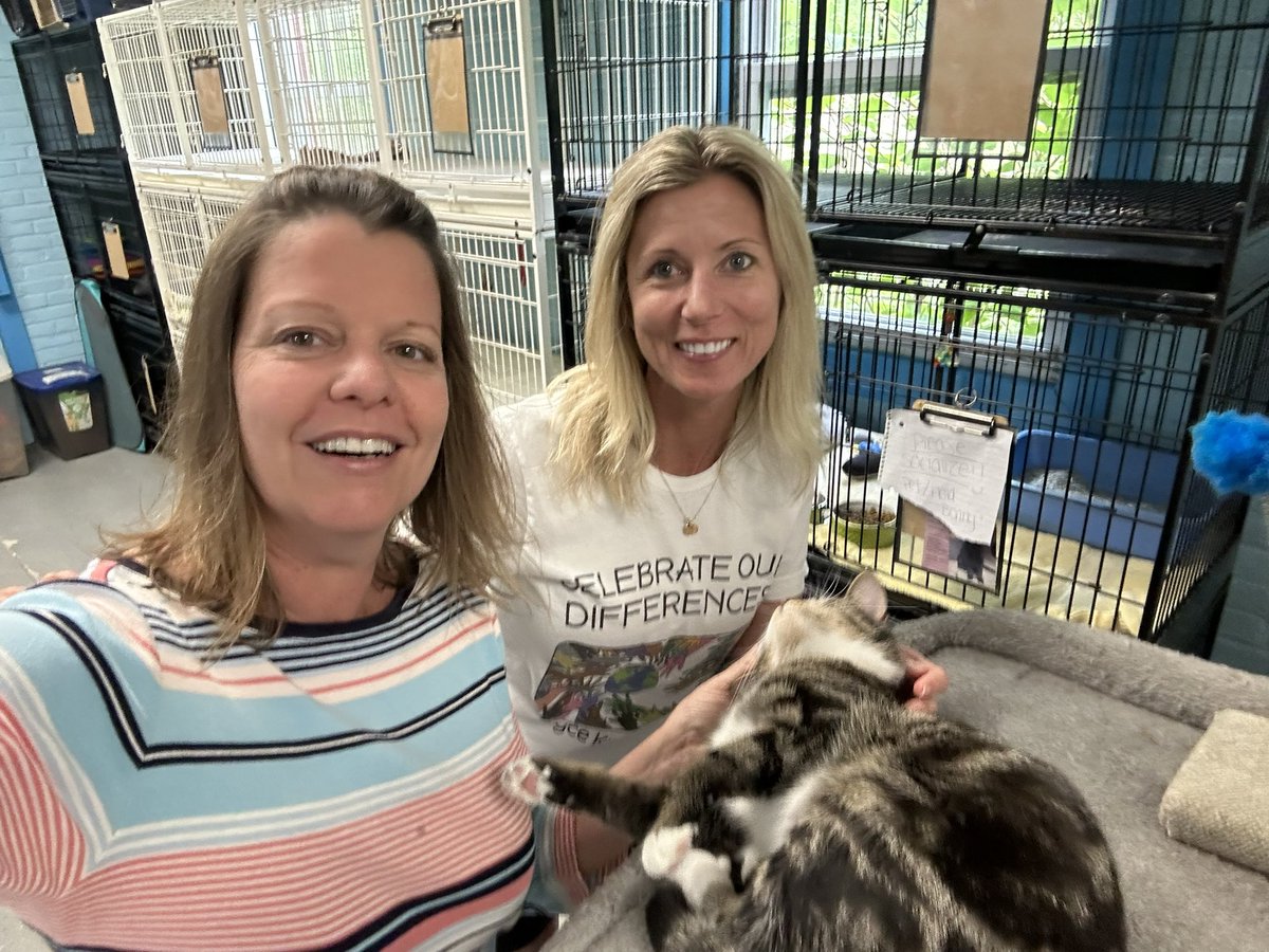JKCouncil's tweet photo. #FundraisingWin 
A gratifying opportunity today to go to the NJCAS with @Senora_Fitz 💞
We delivered all of the pet donations and had an opportunity to connect with some cats &amp; kittens 🐈#MahwahConnects @JKSMahwah @mahwahschools https://t.co/SVsUFn30XB