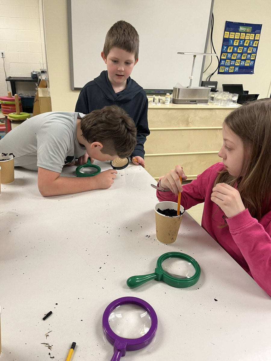 Anthony Paddon tweet media