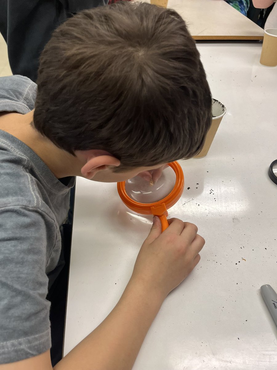 Anthony Paddon tweet media