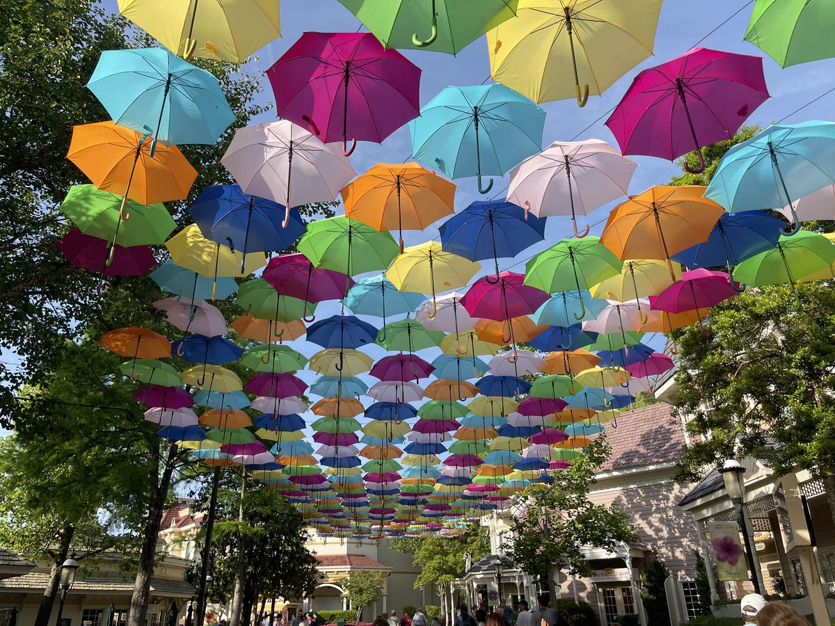 BuckeyeCoaster's tweet image. Always such a beautiful sight in the Spring at @Dollywood! #FlowerandFoodFestival #springtimefun #dollywood2023 #DW2023 #Dollywood