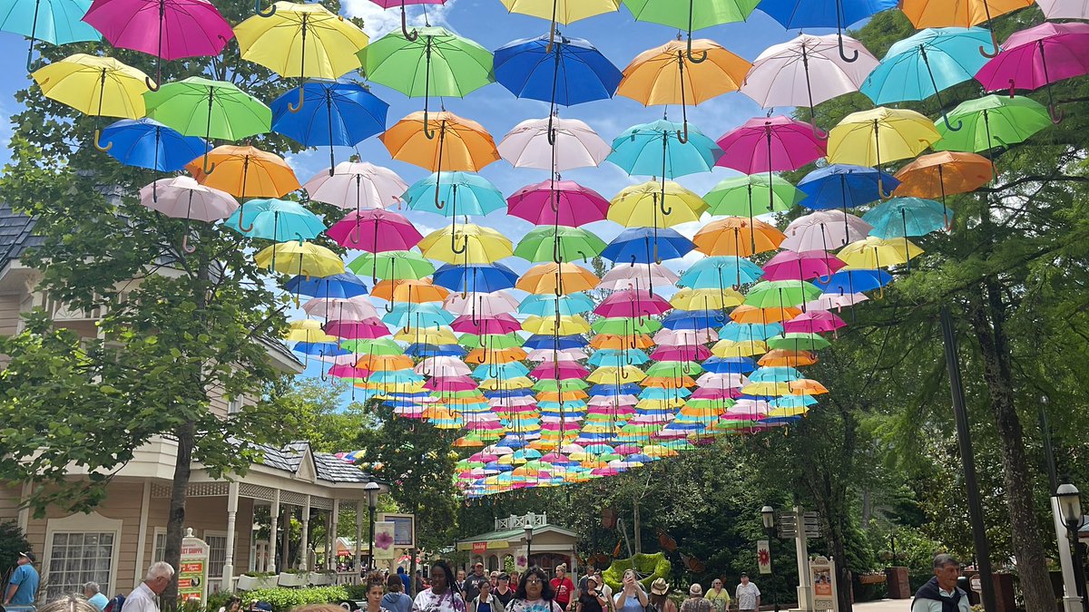 BuckeyeCoaster's tweet image. Always such a beautiful sight in the Spring at @Dollywood! #FlowerandFoodFestival #springtimefun #dollywood2023 #DW2023 #Dollywood