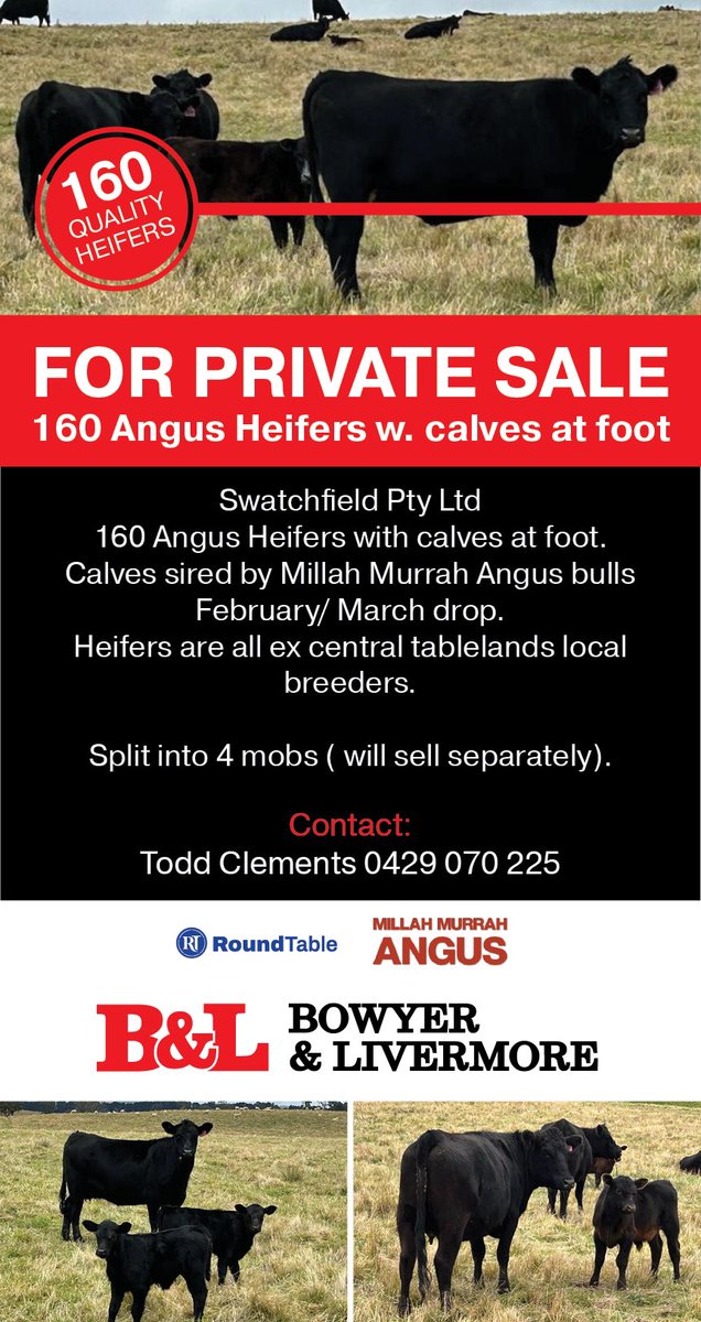 Bowyer & Livermore (@bowyerlivermore) on Twitter photo 