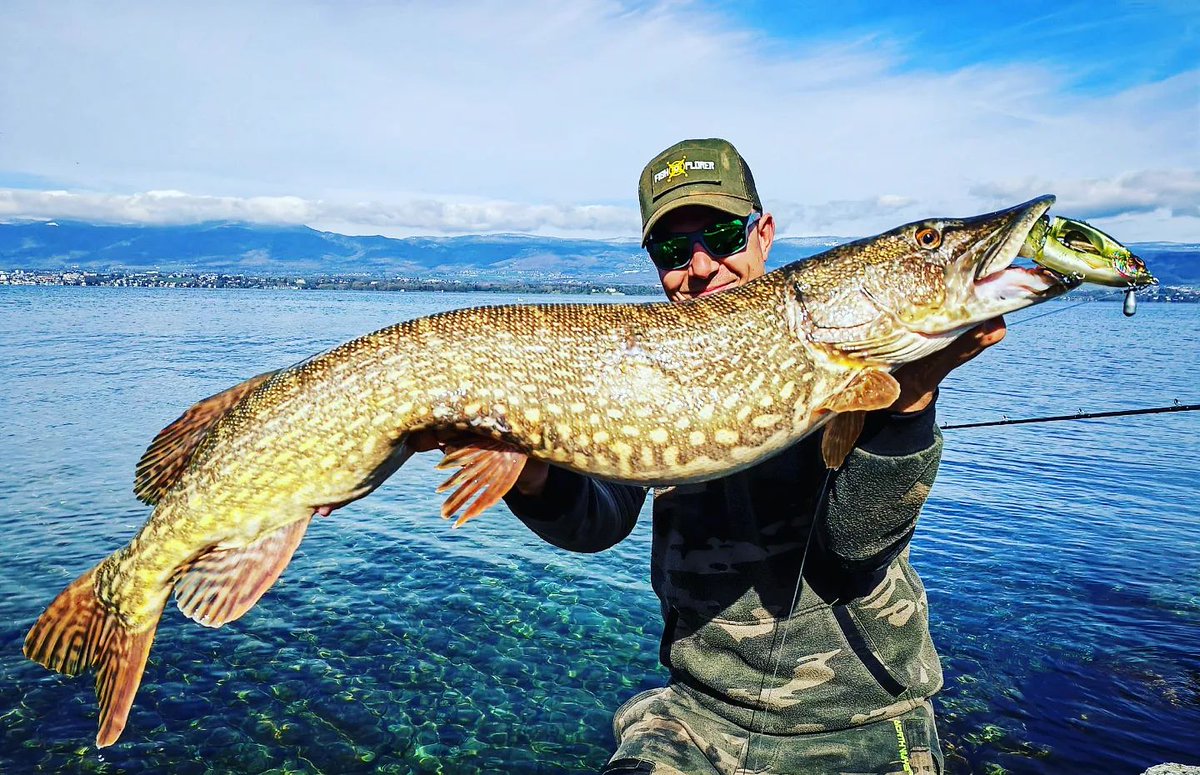 Chasebaits tweet media