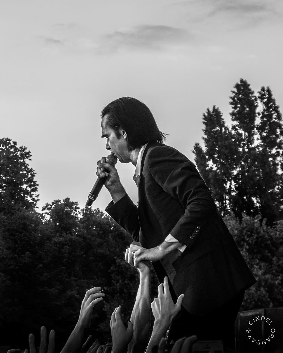 5. Charles Peterson
6. Annie Leibovitz
7. Daniel Patlán
8. Cindel Oranday
(2/2)