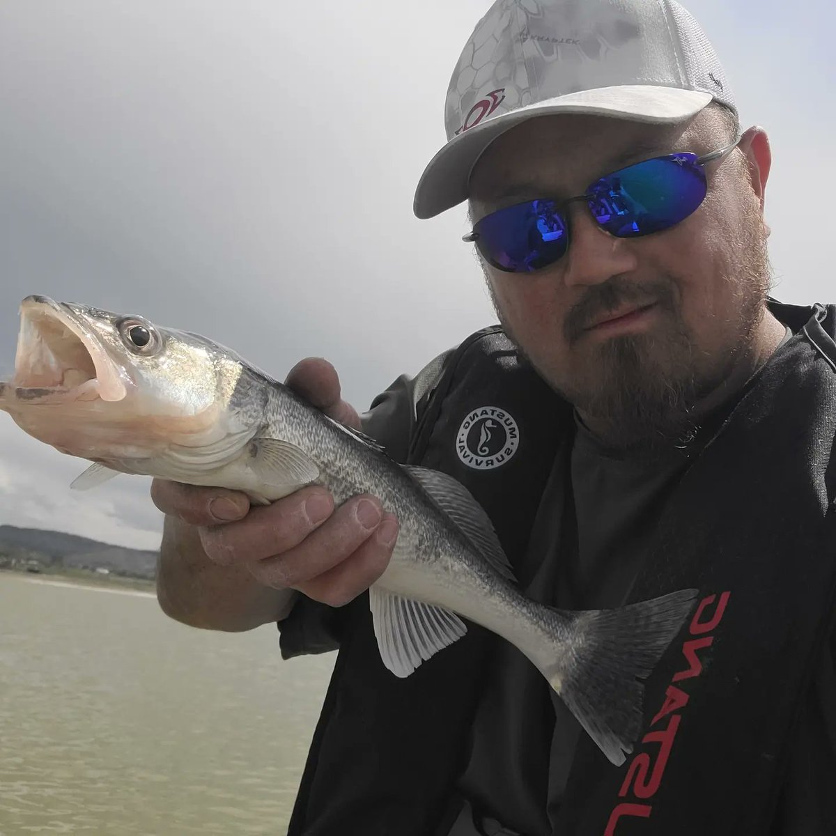 SFO303's tweet photo. 1st trip out on the Hobie and 1st Walleye of the year.
#GhostClownHDTrout #Dynamiclures #Hobiekayakfishing #Walleye https://t.co/hzSt03MTOy