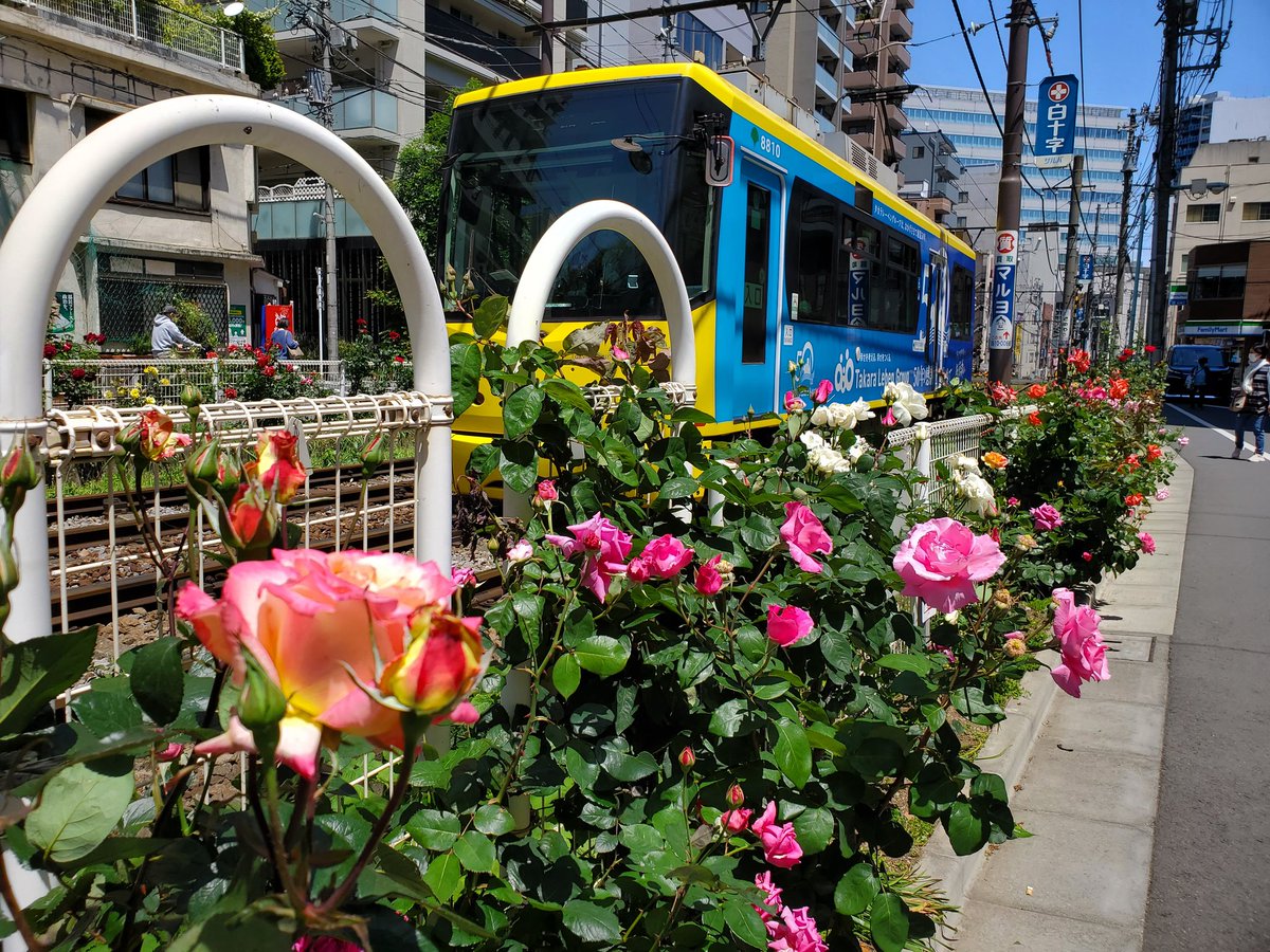 Wacca3_u_u's tweet photo. ＼おはわっか～👧🌿／

豊島区池袋は晴れ☀️　26℃/11℃

今日は #ファイトの日
今日こそGWの遅れを取り戻そう
(｡･ω･｡)o"ｴｲｴｲｵｳ!!(｀･ω･´)ﾉ"

#豊島区 #池袋
#企業公式が毎朝地元の天気を言い合う #企業公式春のフォロー祭り https://t.co/gP0AMgNNyG