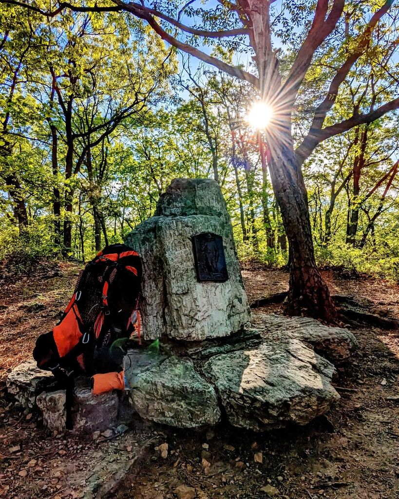 Kurt Zitzelman Outdoors tweet media