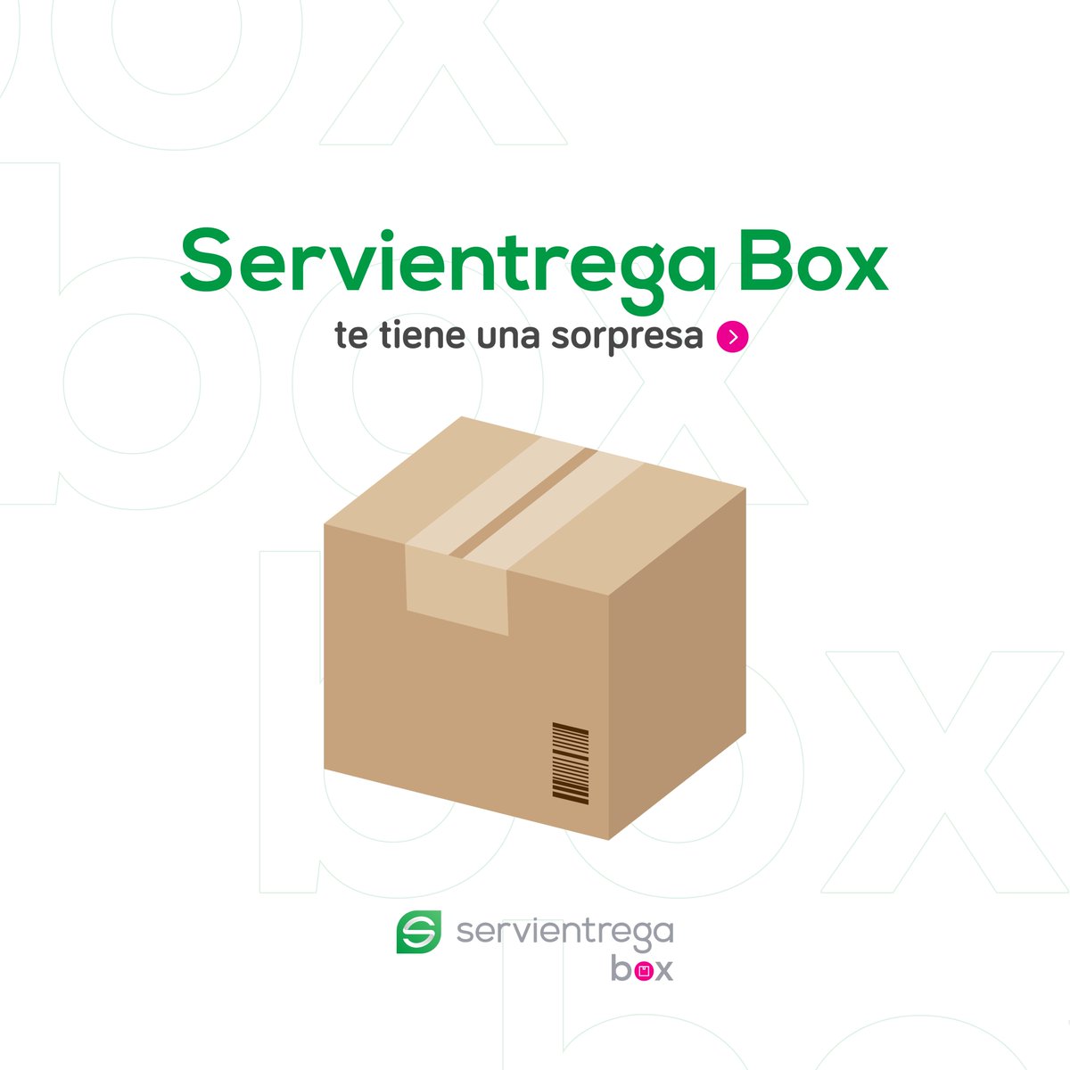 Servientrega_ms's tweet photo. 🥳 ¡Celebra el Orgullo Geek 👾 con Servientrega Box! 📦 Trae de Estados unidos hasta seis de tus personajes favoritos y disfruta de este día. 🙌
#OrgulloGeek #ServientregaBox #MundoDeSoluciones #FunkoPop #geekshop #geeklife #babyrocket #rocketraccoon #Guardiansofthegalaxyvol3 https://t.co/ygVBq5Ttxe