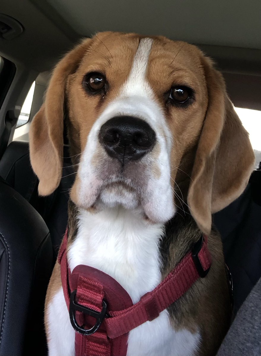 Hi it’s my first birthday today.  🎉🎂🥳