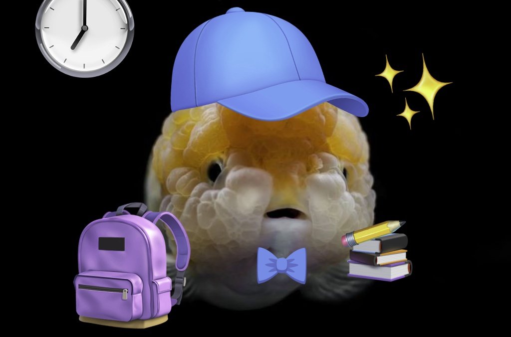 Pagi oll~
Joli mau cekulaa, blubb~ 🫧🐠